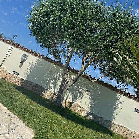 Gold House Luxury Anzio Villa Eksteriør billede