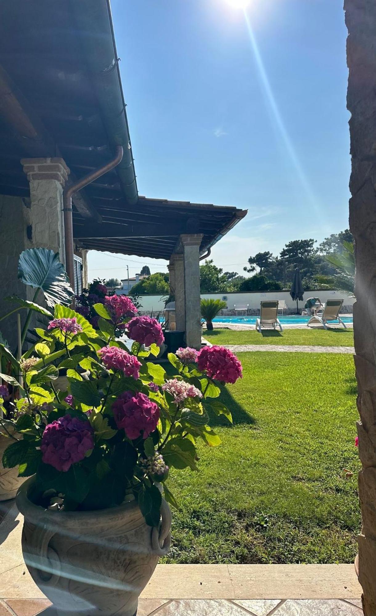 Gold House Luxury Anzio Villa Eksteriør billede